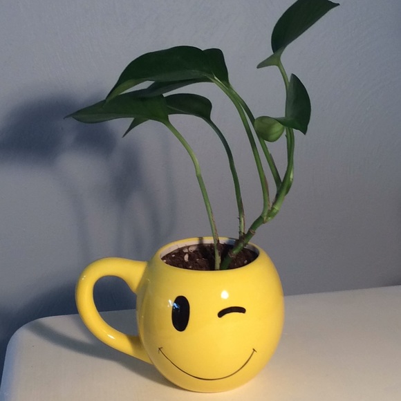 Meet your Posher, Beth. - Picture 1 of 1